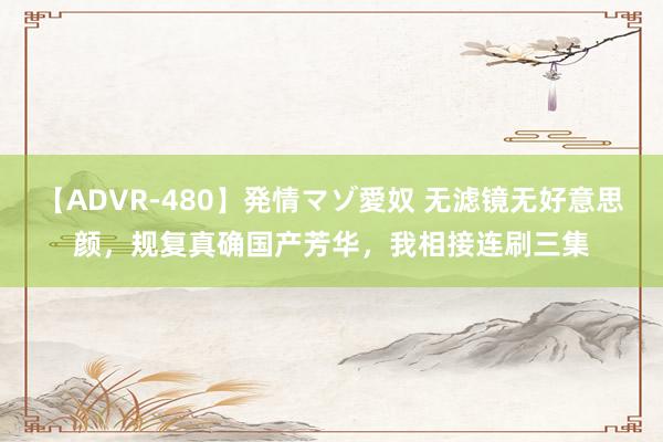 【ADVR-480】発情マゾ愛奴 无滤镜无好意思颜，规复真确国产芳华，我相接连刷三集