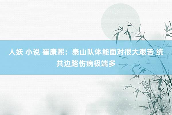 人妖 小说 崔康熙：泰山队体能面对很大艰苦 统共边路伤病极端多